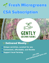 Load image into Gallery viewer, Microgreens CSA Subscription - 4 Containers a Week