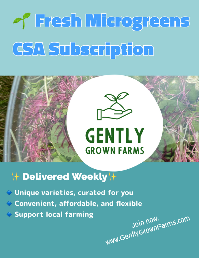 Microgreens CSA Subscription - 4 Containers a Week
