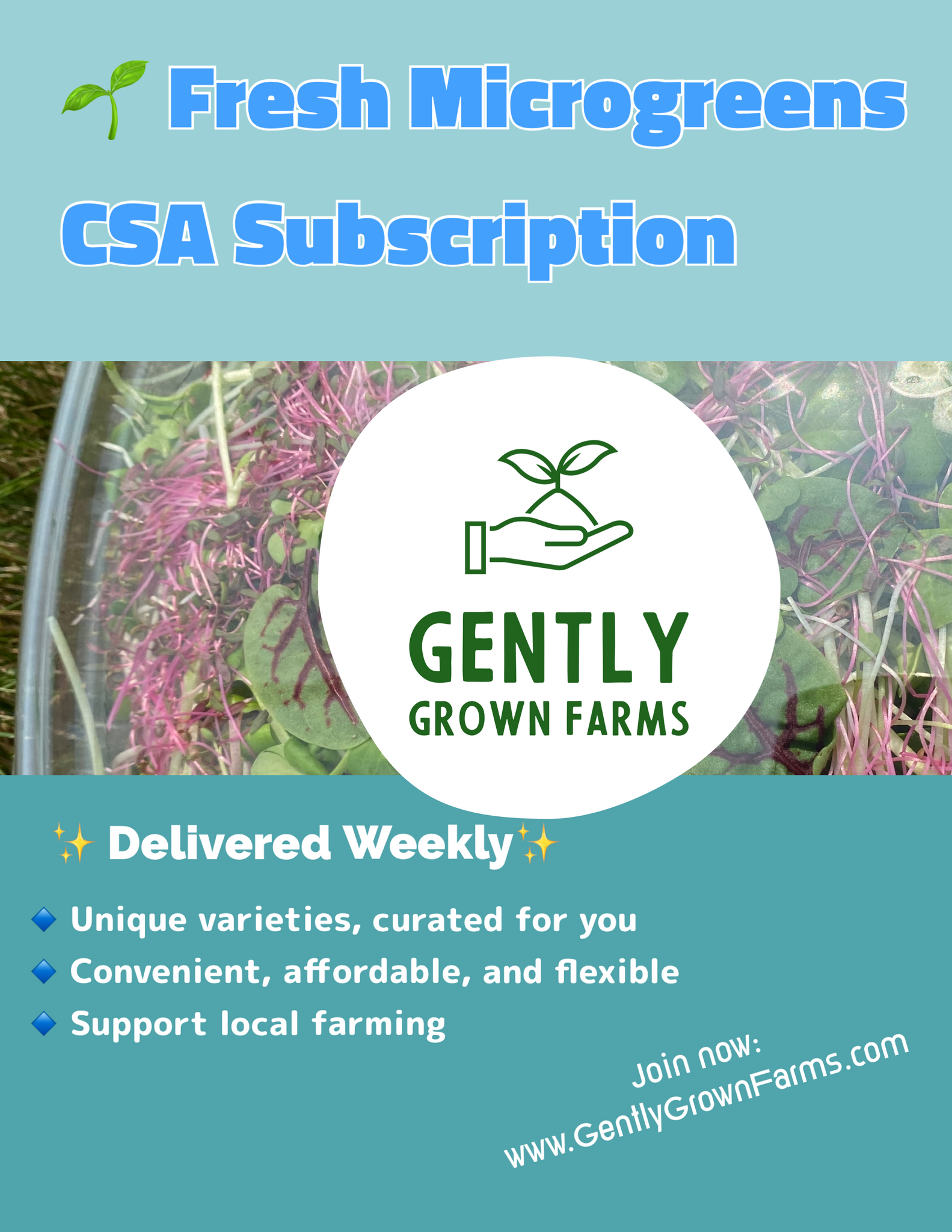 14+ Microgreen Csa Microgreens CSA Subscription - 2 Containers a Week – Gently Grown Farms