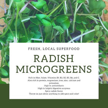 Load image into Gallery viewer, Radish Microgreens
